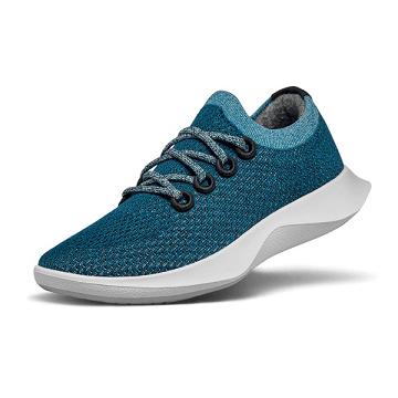 Aqua Allbirds Tree Dasher 1 Men's Running Shoes | IN1163TC