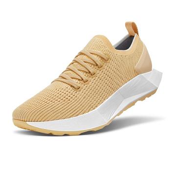 Beige Allbirds Tree Flyers Men's Running Shoes | IN1181DF