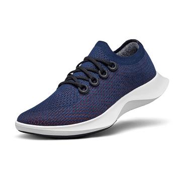 Blue Allbirds Tree Dasher 1 Women's Running Shoes | IN1593IN