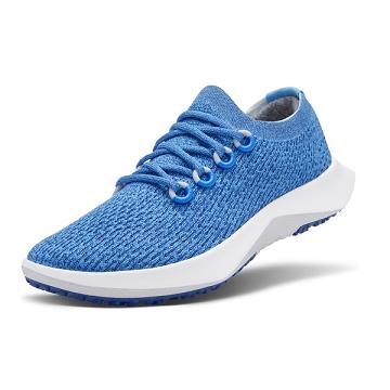 Blue Allbirds Tree Dasher 2 Men's Running Shoes | IN1192WN