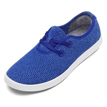 Blue Allbirds Tree Skippers Men's Sneakers | IN1014BE