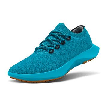 Blue Allbirds Wool Dasher Mizzles Men's Running Shoes | IN1140WN