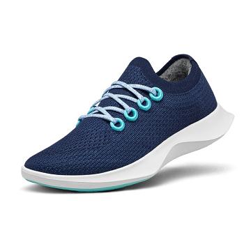 Blue / White Allbirds Tree Dasher 1 Men's Running Shoes | IN1165EB