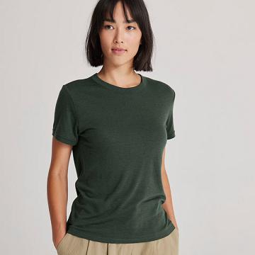 Green Allbirds Sea Women's T Shirts | IN1738WN