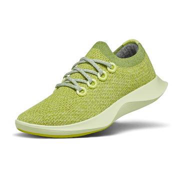 Green Allbirds Tree Dasher 1 Men's Running Shoes | IN1160IL