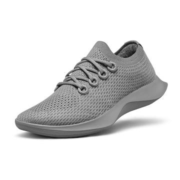 Grey Allbirds Tree Dasher 1 Women's Running Shoes | IN1589XY