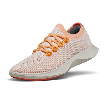 Orange Allbirds Tree Dasher 1 Men's Running Shoes | IN1159OK