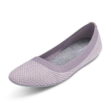 Purple Allbirds Tree Breezers Women's Flat Shoes | IN1666CT