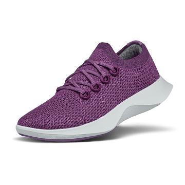 Purple Allbirds Tree Dasher 1 Men's Running Shoes | IN1172CT