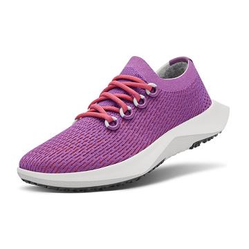 Purple Allbirds Tree Dasher 2 Men's Running Shoes | IN1189TC