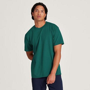 Turquoise Allbirds Allgood Cotton Men's T Shirts | IN1298MQ