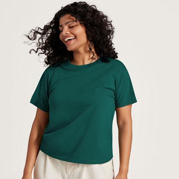 Turquoise Allbirds Allgood Cotton Women's T Shirts | IN1748KO