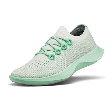 White / Green Allbirds Tree Dasher 1 Men's Running Shoes | IN1162YX