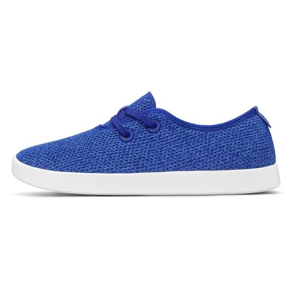 Blue Allbirds Tree Skippers Men's Sneakers | IN1014BE