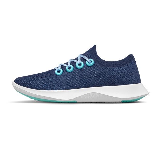 Blue / White Allbirds Tree Dasher 1 Men's Running Shoes | IN1165EB