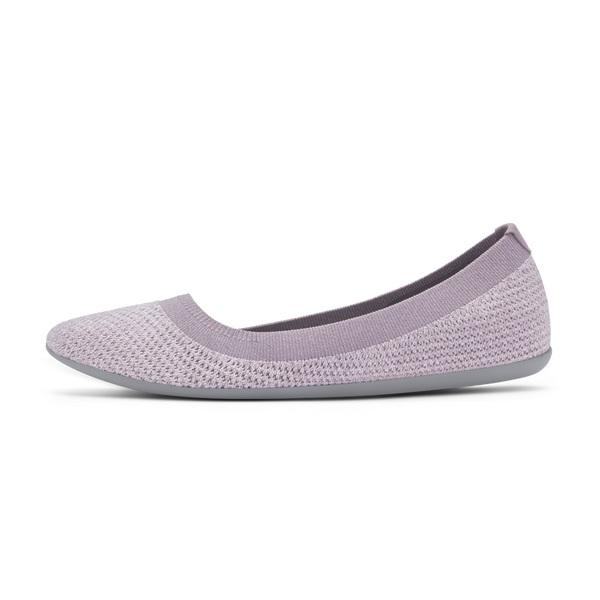 Purple Allbirds Tree Breezers Women's Flat Shoes | IN1666CT